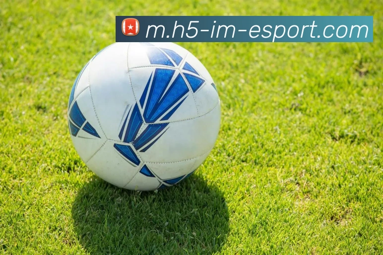 IM电竞品牌故事