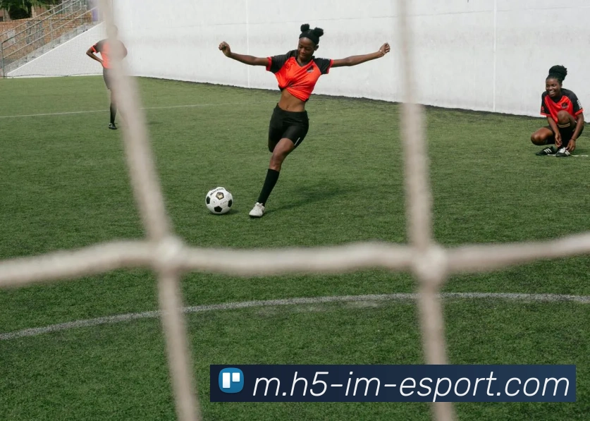 IM电竞服务体系